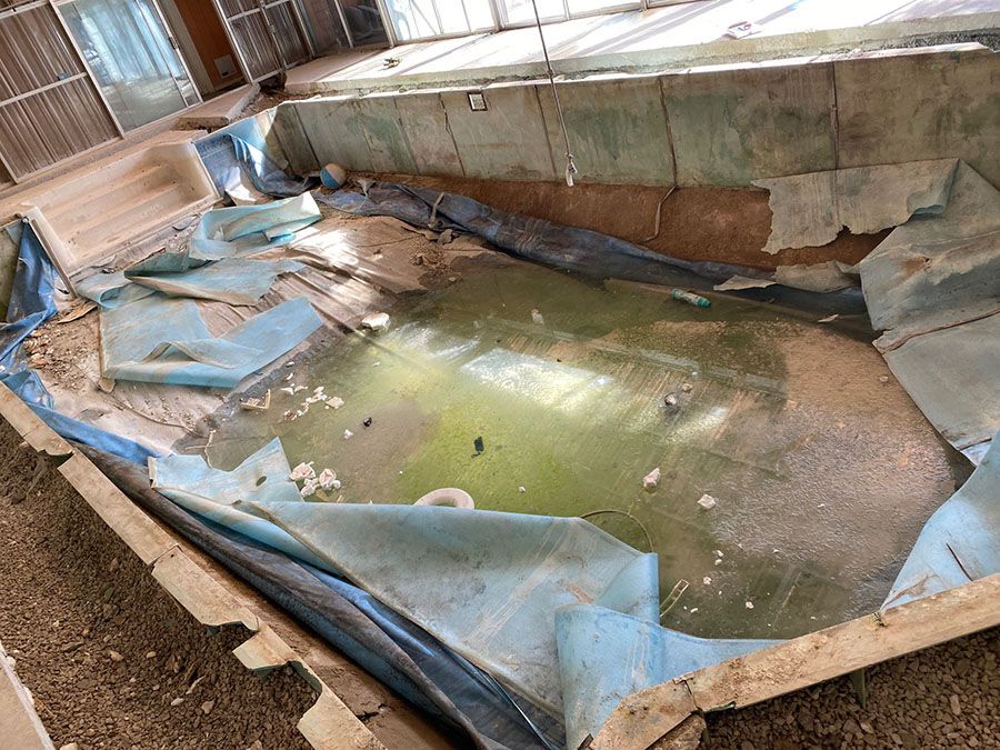 Swimming Pool Remodel - Penguin Pools