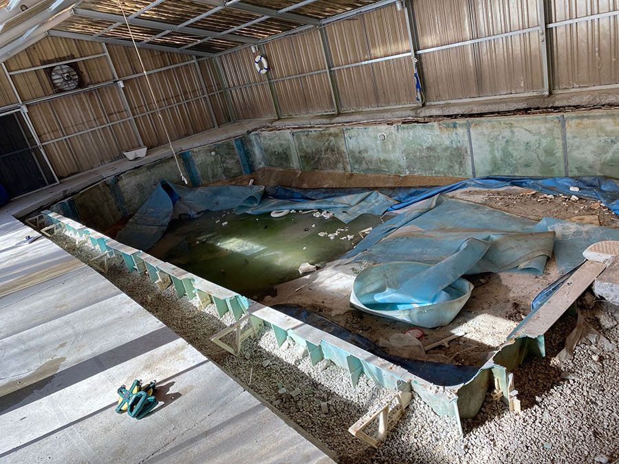 Swimming Pool Remodel - Penguin Pools