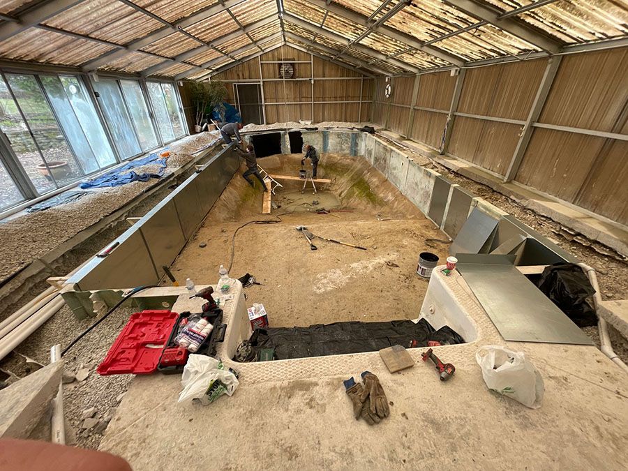 Swimming Pool Remodel - Penguin Pools