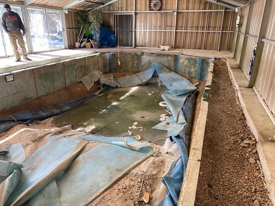 Swimming Pool Remodel - Penguin Pools